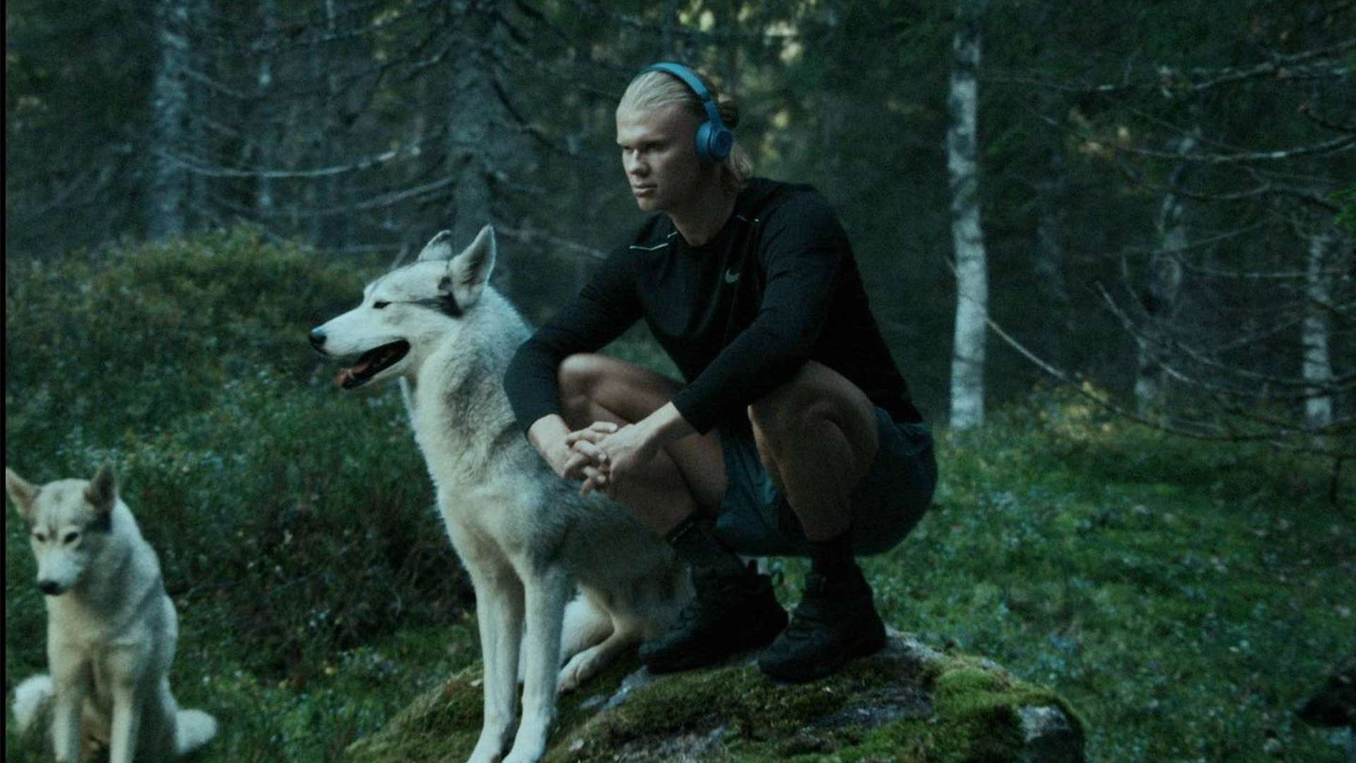 的历史时刻 的历史时刻